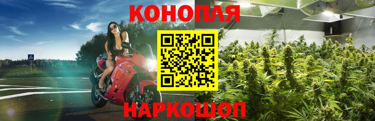 Ржев  Шишки марихуана план  Вход с VPN  Конопля VHQ  Конопля семена 